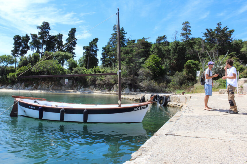 What do you do in June, in cannes city?